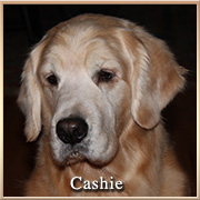 Cashie