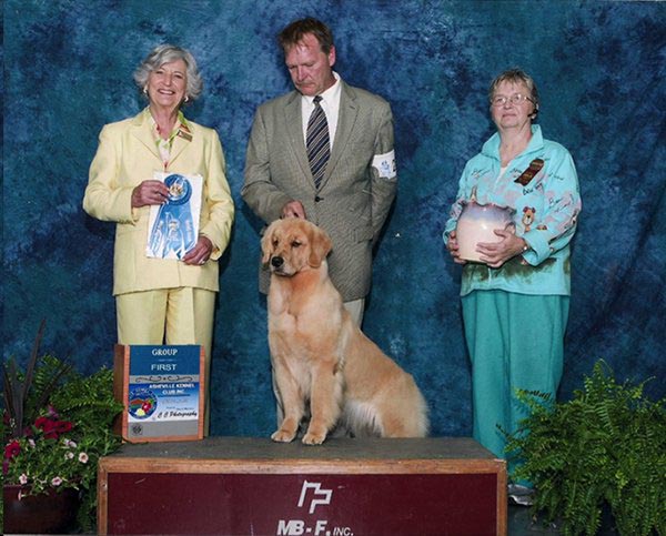 goodlife goldens indie in ring